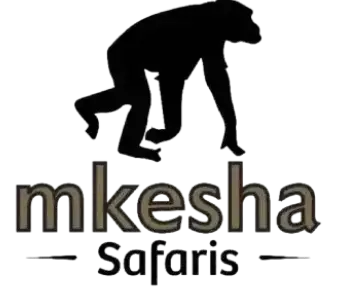 Mkesha Safari