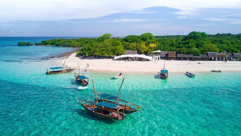 Spice farm, Prison Island & Nakupenda With Lunch, photo 2